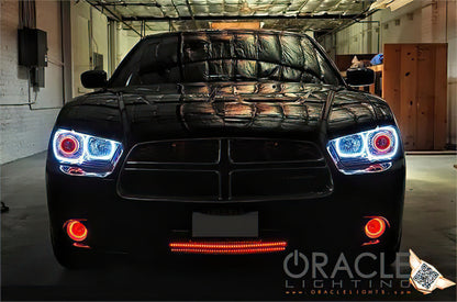 Oracle Dodge Charger 11-12 LED Fog Halo Kit - ColorSHIFT