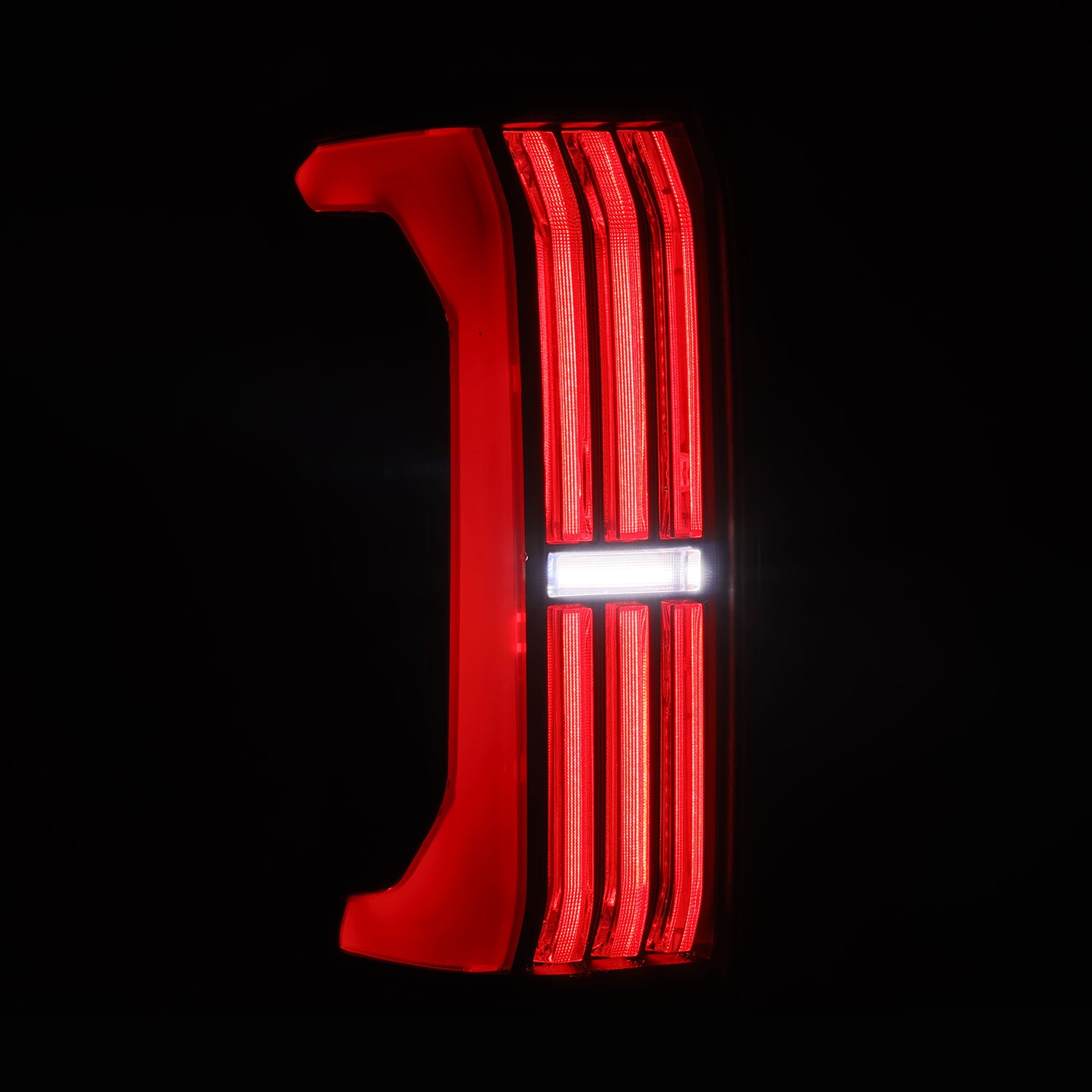 679030_5.jpg