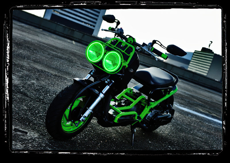 Oracle Honda Ruckus 01-15 LED Halo Kit - Red