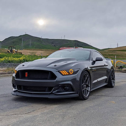 2015-2017 Ford Mustang Dyn CS RGB+A Pre-Asm HLs - Black Edition