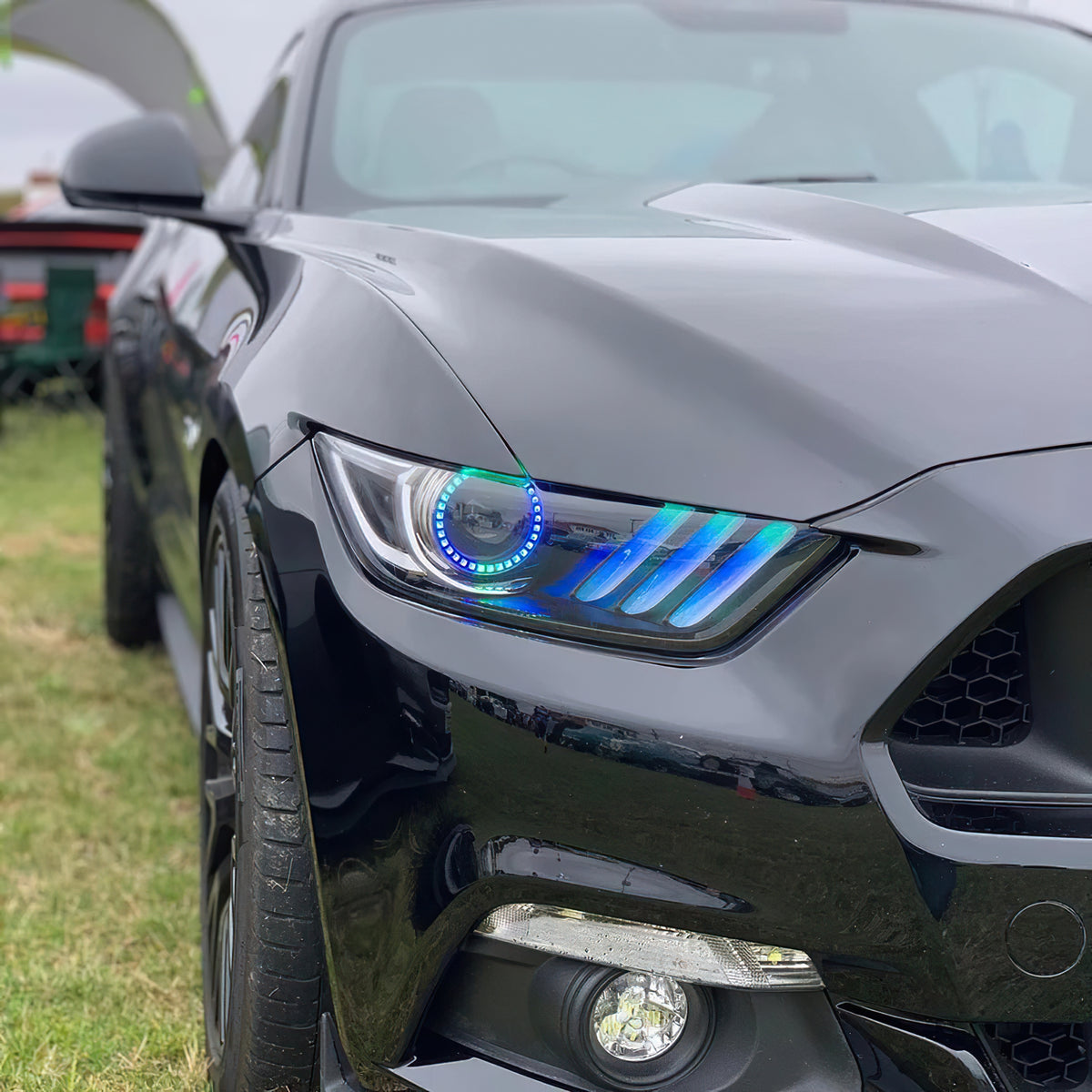 2015-2017 Ford Mustang Dyn CS RGB+A Pre-Asm HLs - Black Edition