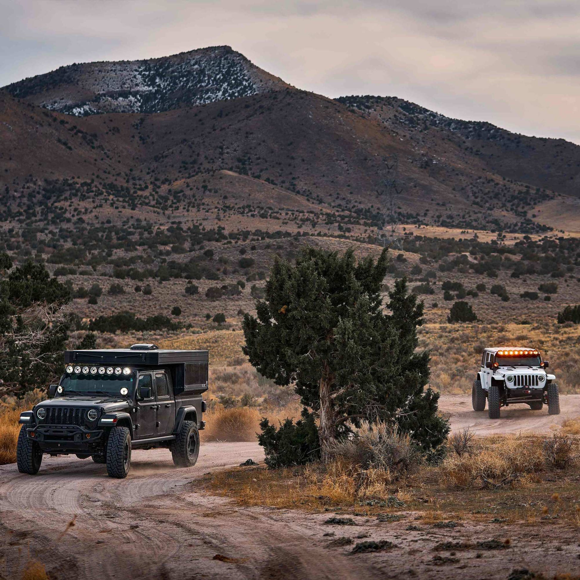 50 Inch Gravity Titan LED Light Bar 8-Lght KC HiLiTES