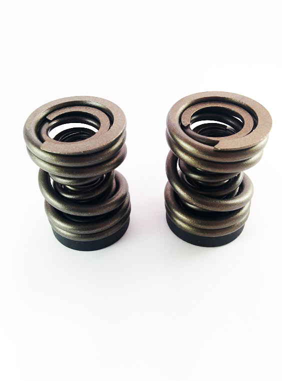 Dodge 94-98 P-Pump 3,000 and 4,000 RPM Governor Spring KIT Dynomite Diesel