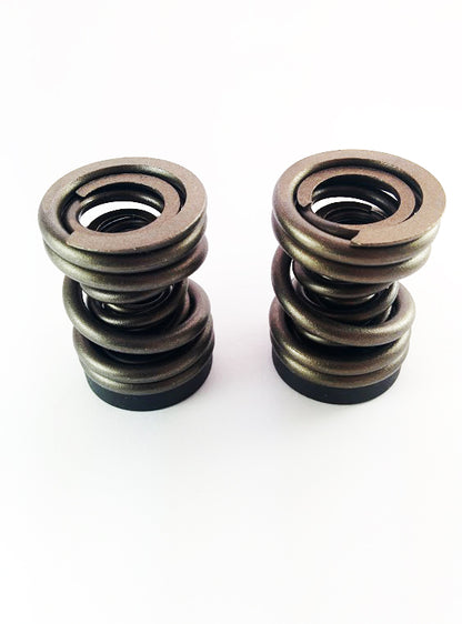 Dodge 94-98 P-Pump 3,000 and 4,000 RPM Governor Spring KIT Dynomite Diesel