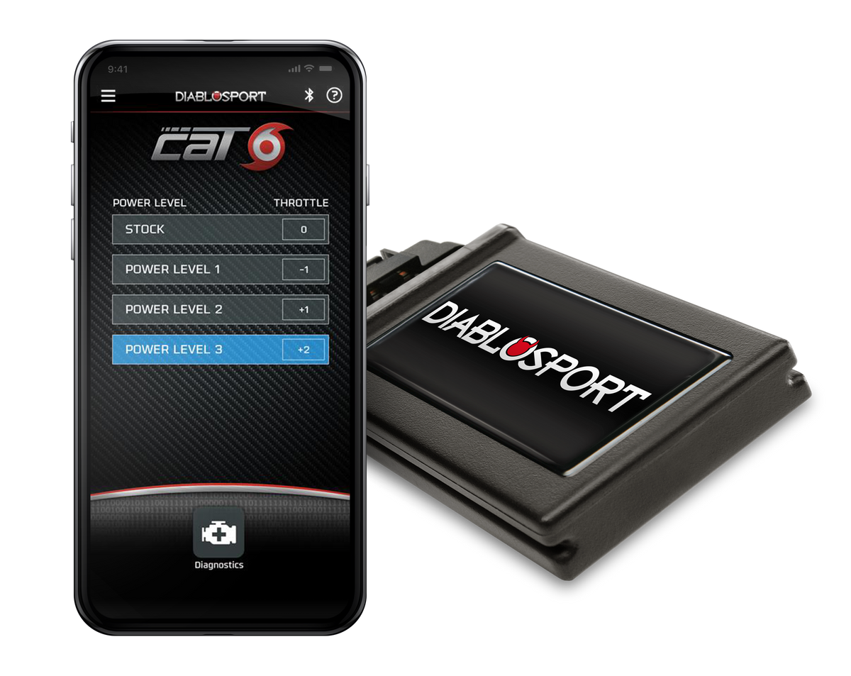 Diablo_Cat6_Group1b.png