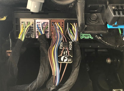 All Lights On Fleece Performance
