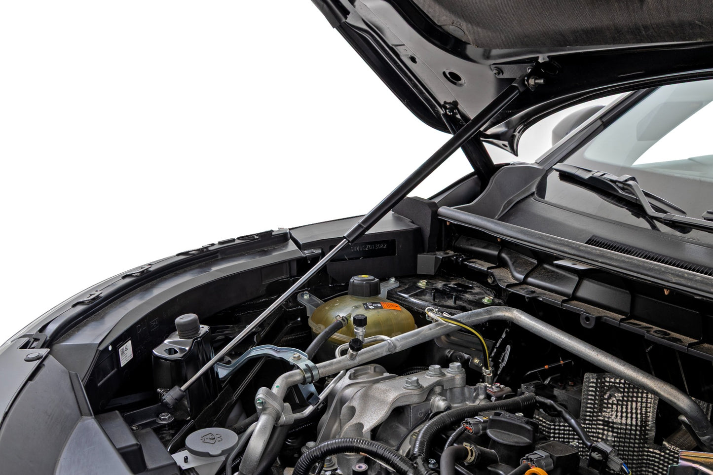 Hood Strut | Hydraulic | Mitsubishi Outlander (2022-2026)