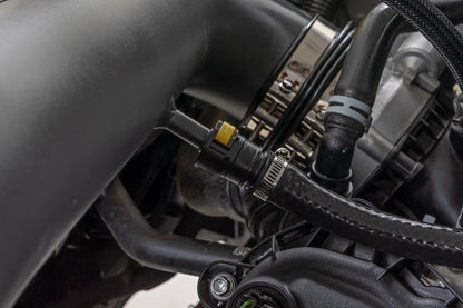 Cold Air Intake Kit | 5.0L | Ford  F-150 2WD/4WD (2021-2026)