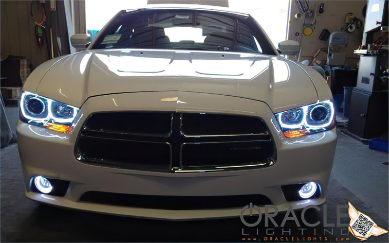 Oracle Dodge Charger 11-12 LED Fog Halo Kit - White