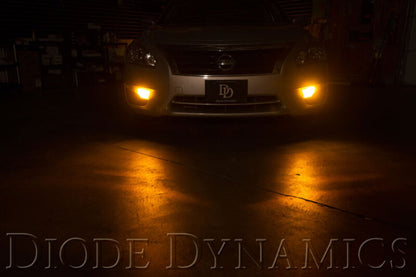 Diode Dynamics 7443 LED Bulb XP80 LED - Amber (Pair)
