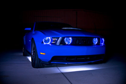 Oracle Ford Mustang 05-09 LED Halo Kit - White