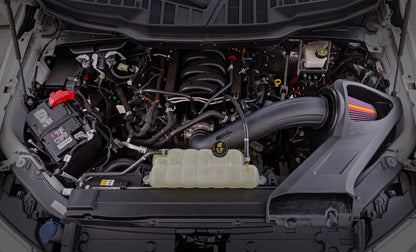 K&N 15-20 Ford F150 V8-5.0 L Performance Air Intake System