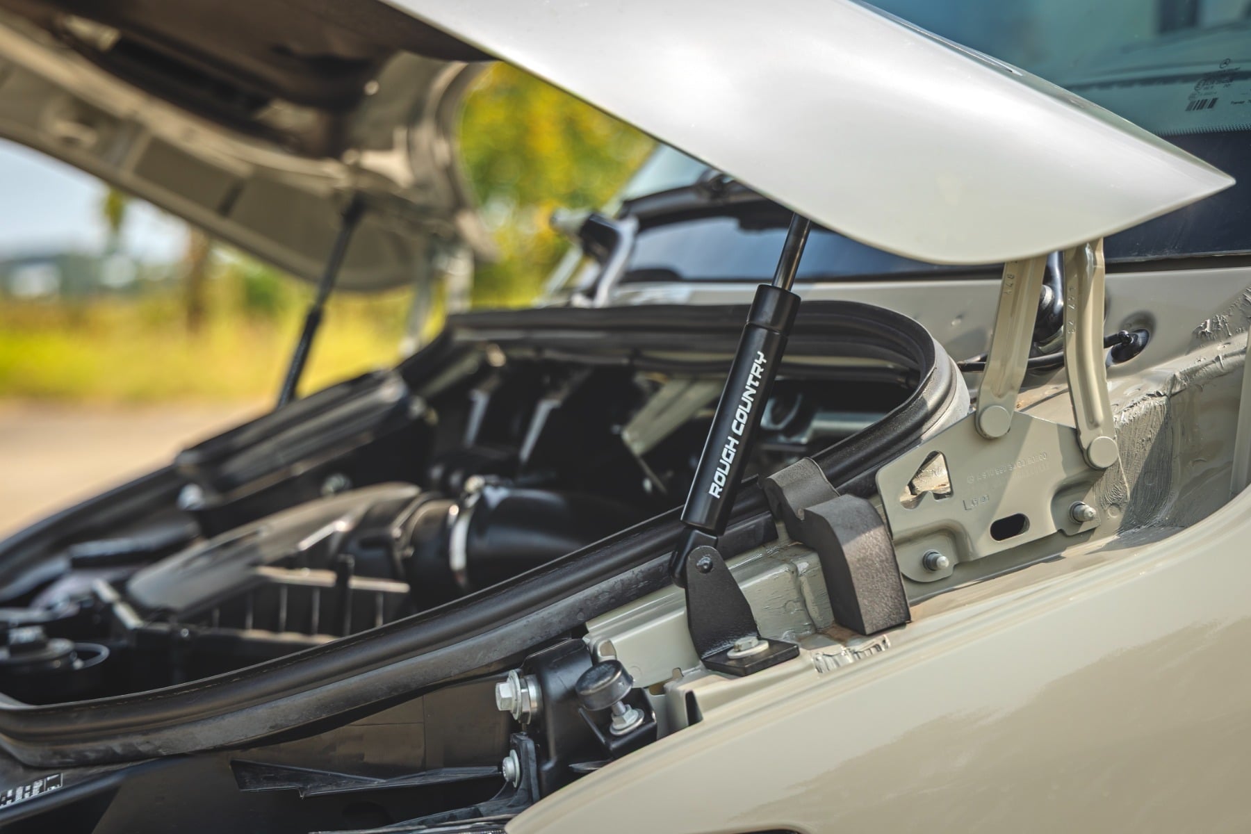 Hood Struts | Mercedes-Benz Sprinter 2500/Sprinter 3500XD  (2019-2026)
