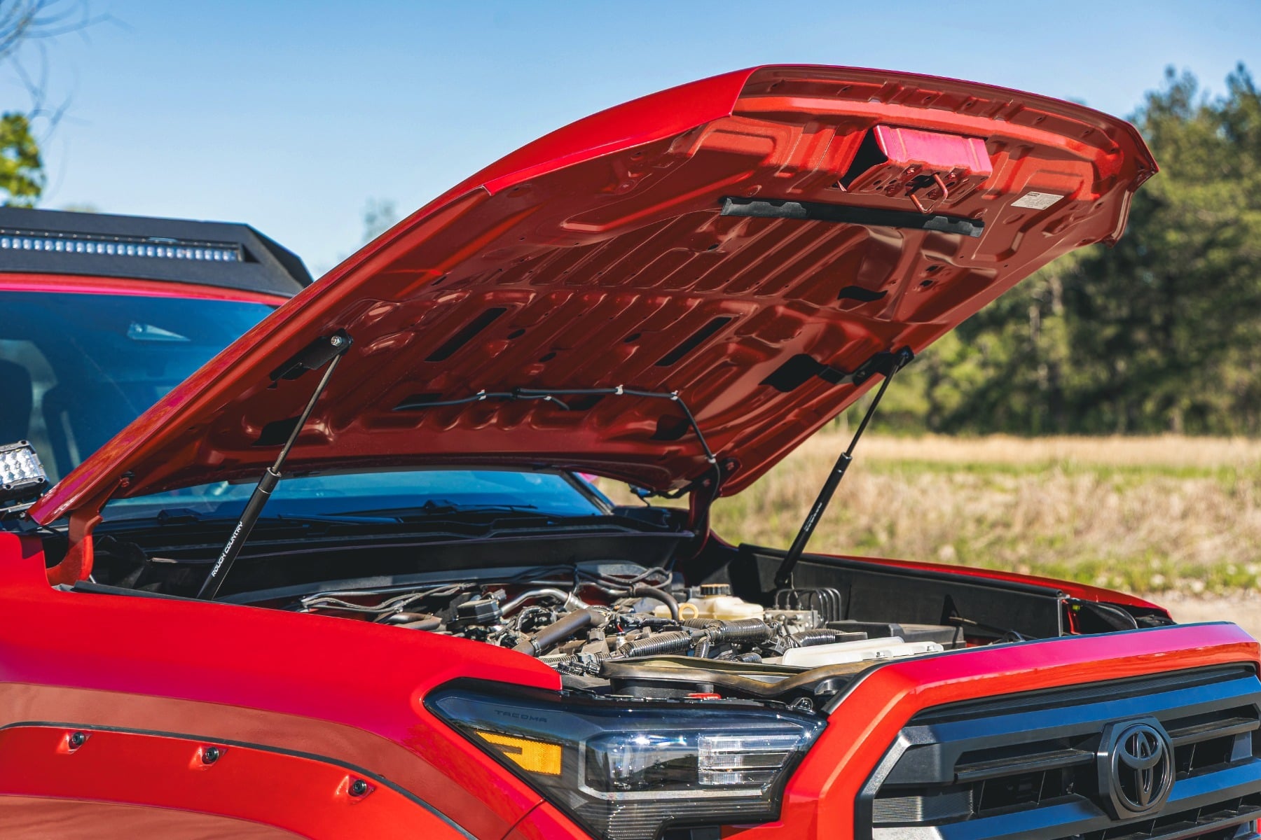 Hood Struts | Hydraulic | Toyota Tacoma 2WD/4WD (2024-2026)