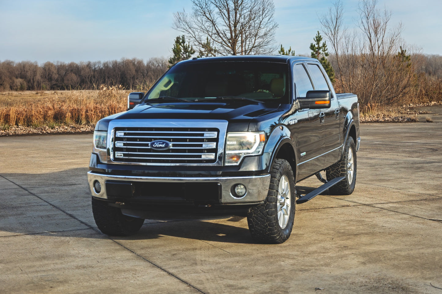 Power Running Boards | Crew Cab | Ford F-150 (2009-2014)