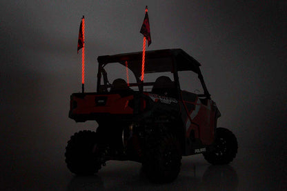 lightwhips-on_2.jpg