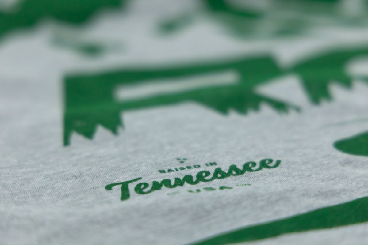 rc_mountains_t-shirt_gray_tn_-_94095_1_5.jpg